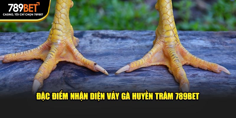 Vảy Gà Huyền Trâm 789bet: Đẳng Cấp Riêng Biệt Cho Người Sành