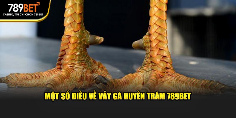 Vảy Gà Huyền Trâm 789bet: Đẳng Cấp Riêng Biệt Cho Người Sành