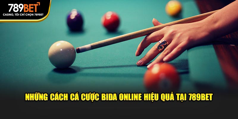 Cá Cược Bida Online 789bet: Đặt Cược, Thắng Lớn Ngay Hôm Nay