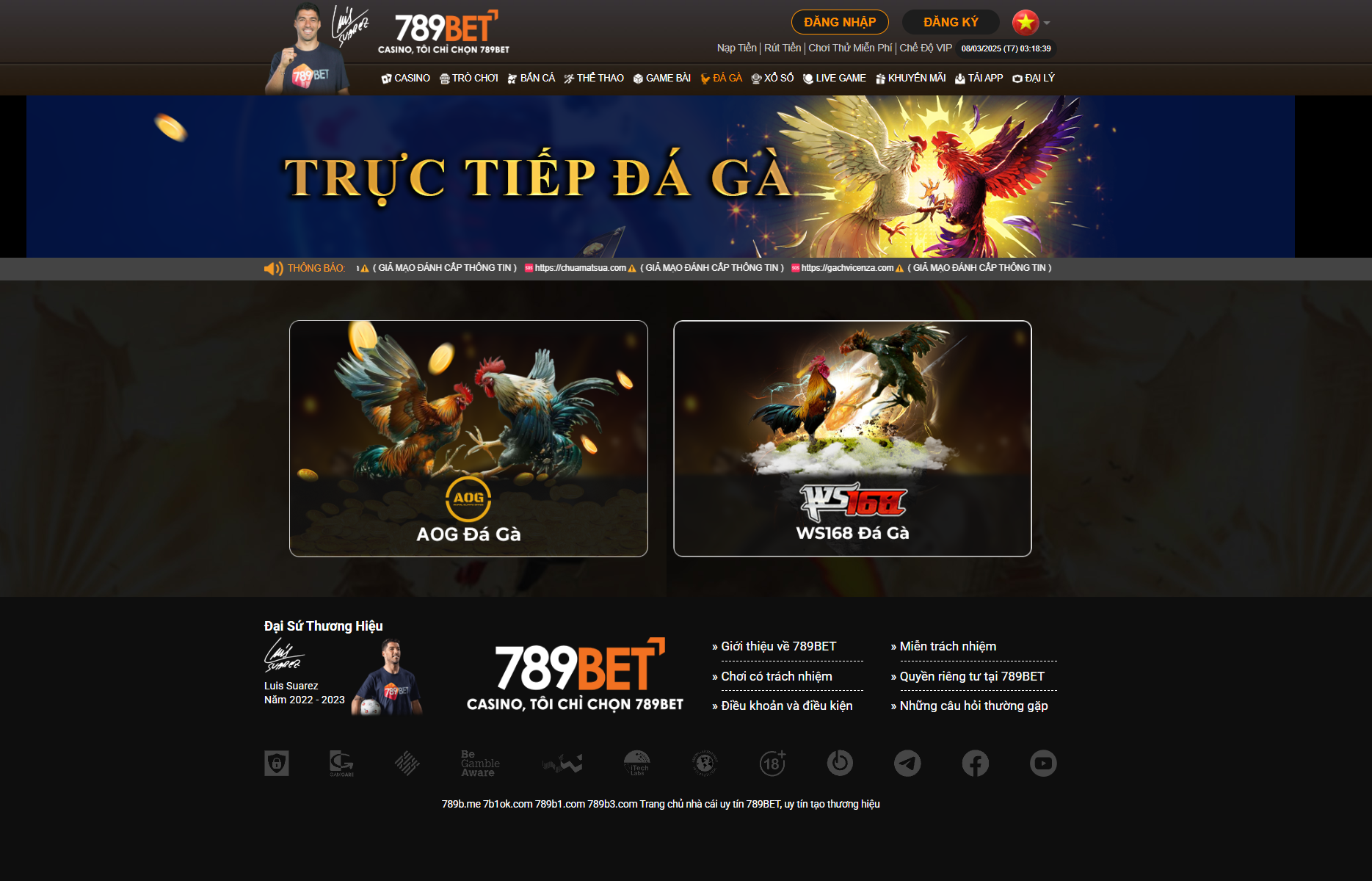 các trận đá gà trực tiếp 789bet